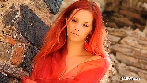 Wildflower Transferred...